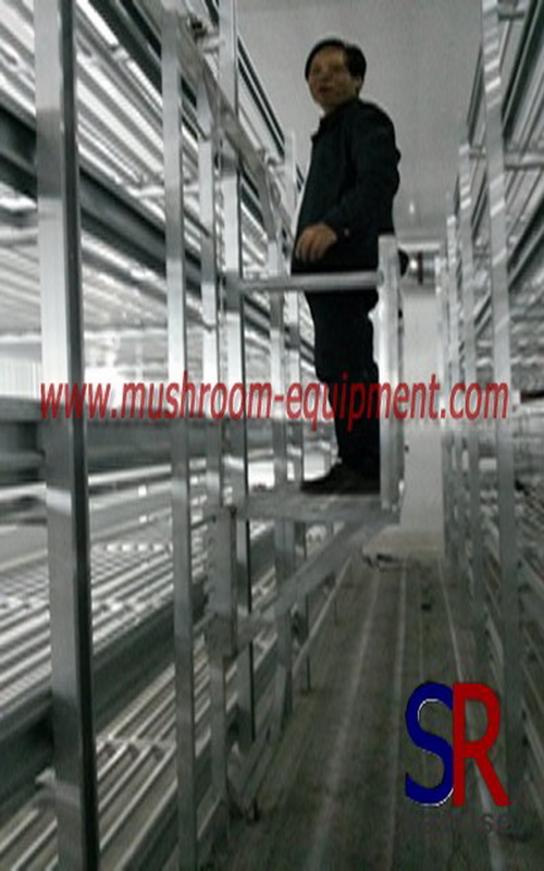 Multi functional mushroom growing shelves 1481001472 0